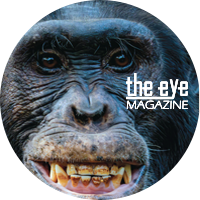 Cover Jan March 2025 icon