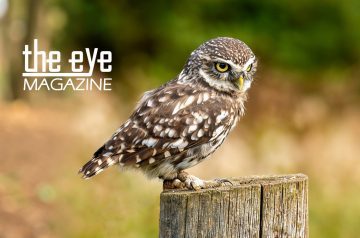Editors letter July-Sept 2026