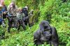Kwikoyere Safaris Ug...