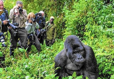 Kwikoyere Safaris Ug...