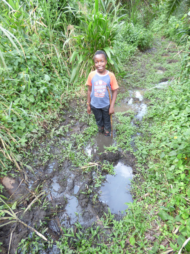 Elephant footprints. Sunbird Hill Kibale forest edge. Charlotte Beauvoisin