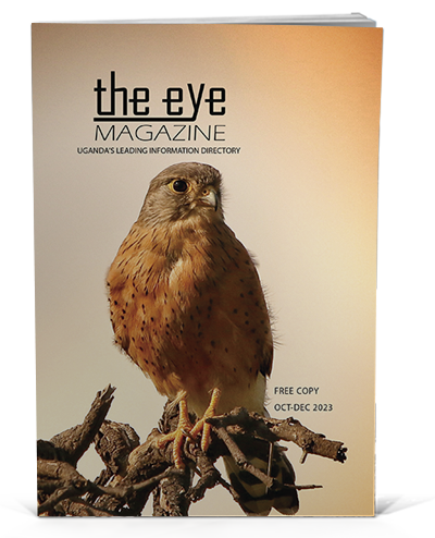 oct dec t23 the eye magazine issue cover update