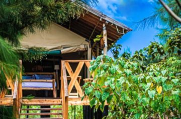 Rubalika Safari Lodge & Farm: A transformative escape