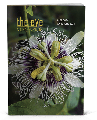 The eye magazine issue April June 2024 cover