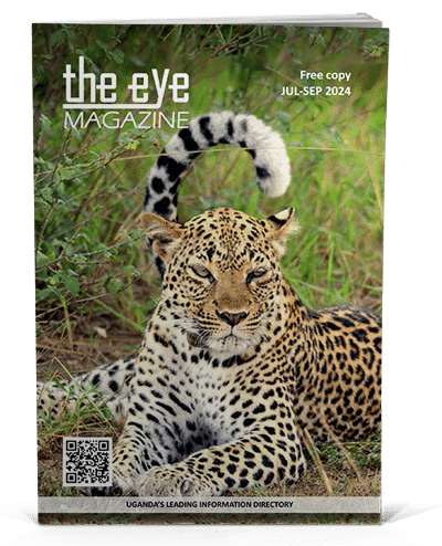 The eye magazine issue July sept 2024 cover