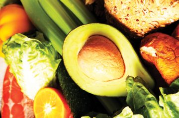 Diet and Nutrition – Back2Health
