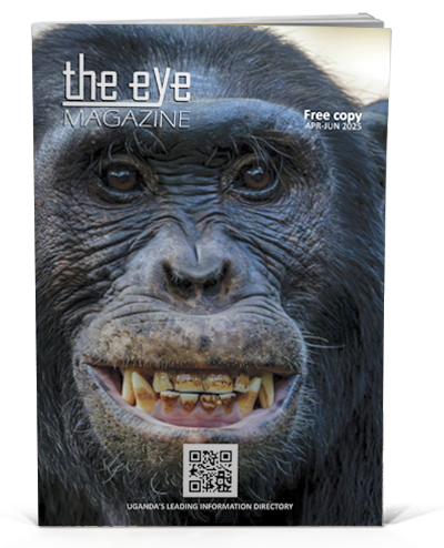 The eye magazine issue April June 2025 cover