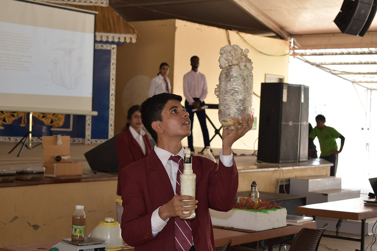 Wonders of science exhibition at the SSIS