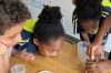 Hummingbird International School: Key determinants of post-school success