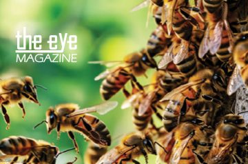 Editors letter April – June 2026