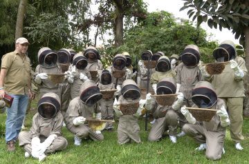 Malaika Honey: Twenty Years of Beekeeping in Uganda