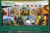 Primate Safaris Uganda