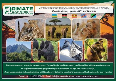 Primate Safaris Uganda