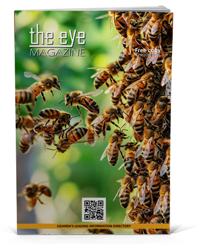 The eye magazine issue Apr Jun 2026 cover